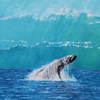 Andreas-Lorenz-Walfluke