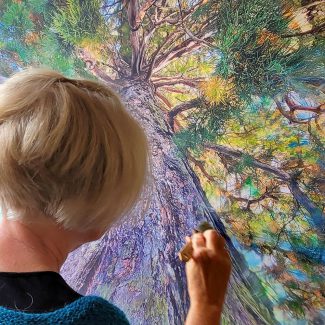 Anke-Sowada-malt-Mammutbaum