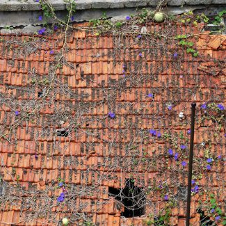 Klaus-Schaffers-Zigelwand